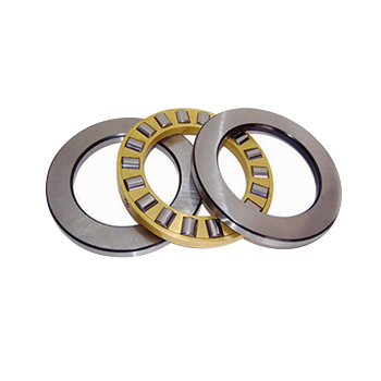 Cylindrical roller thrust bearings